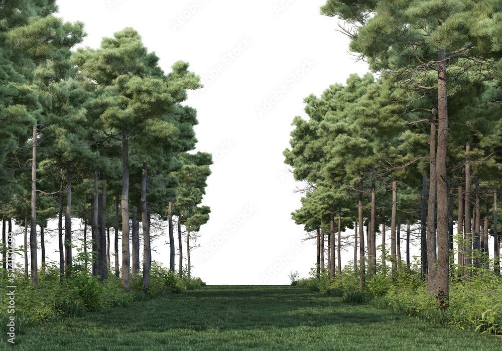 Fototapeta premium Coniferous forest on a transparent background 