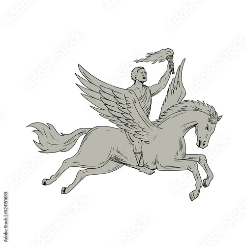 Bellerophon Riding Pegasus Holding Torch Drawing