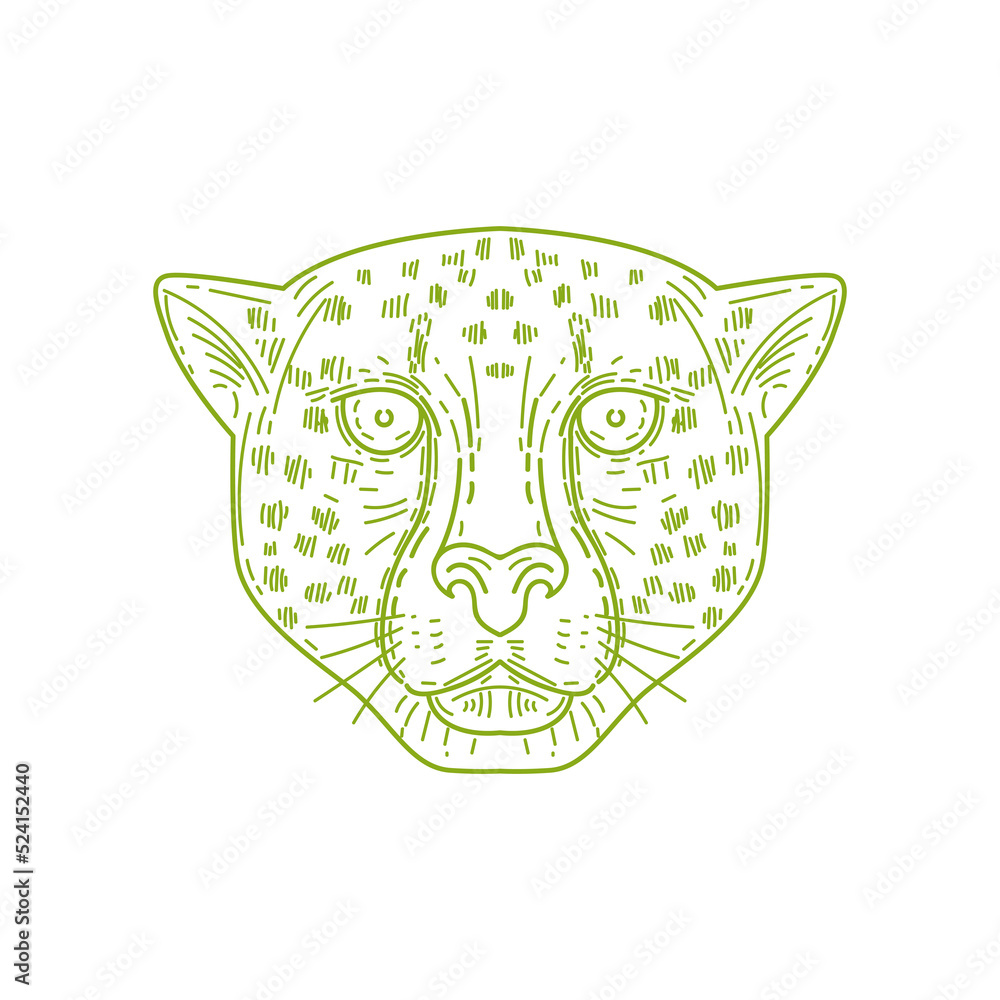 Cheetah Head Mono Line Cheetah Head Mono Line