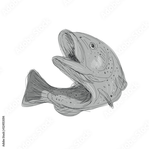 Cutthroat Trout Jumping Drawing