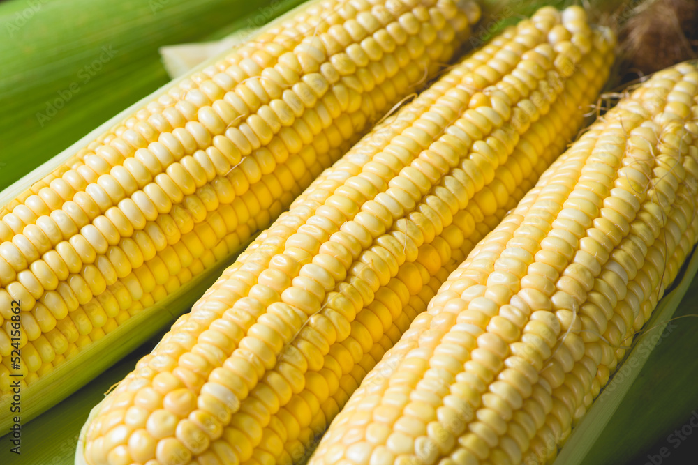 Fresh ripe yellow cobs corn on wooden table Fresh ripe yellow cobs corn on wooden table