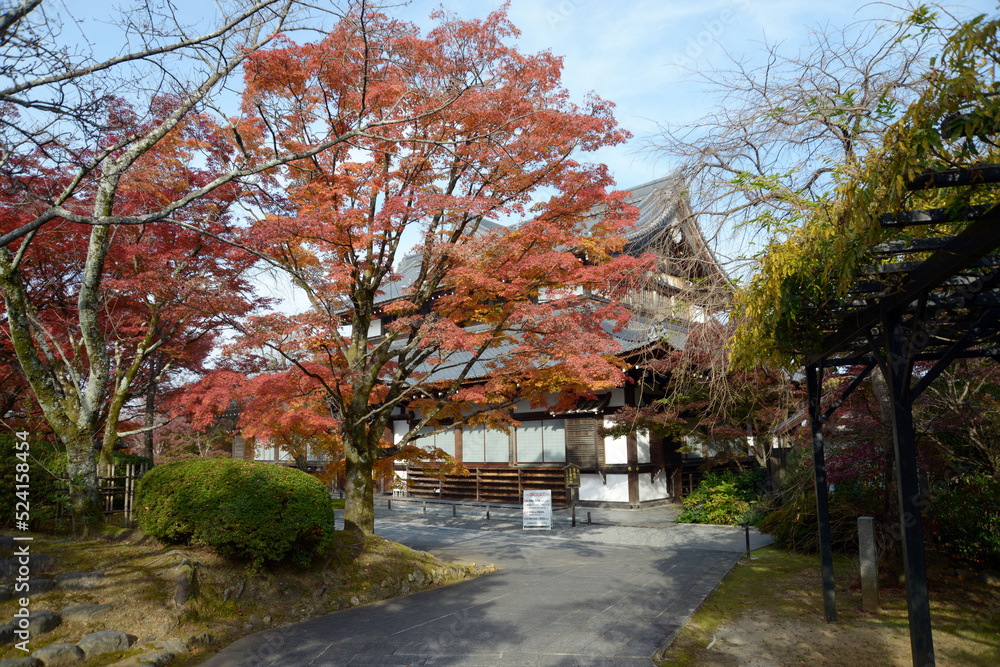 Naklejka premium 将軍塚青龍殿 紅葉の青龍殿 京都市山科区