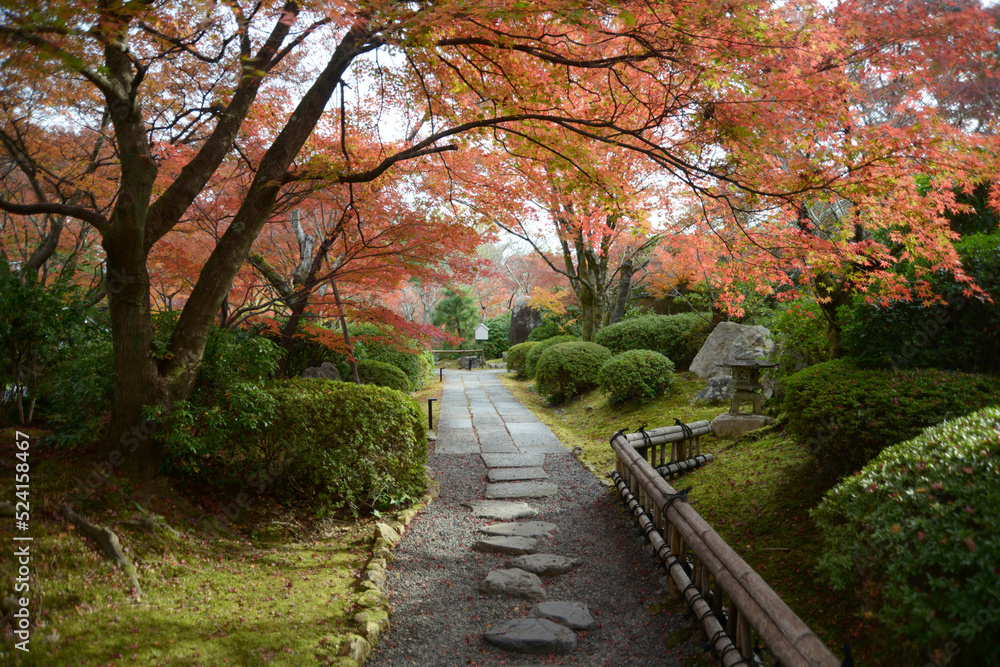 将軍塚青龍殿 紅葉の庭園 京都市山科区 将軍塚青龍殿 紅葉の庭園 京都市山科区