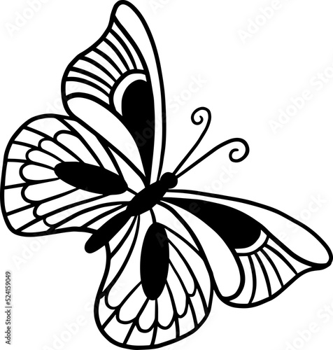 silhouette black pretty Butterfly butterflies Animal Hand Drawn illustration