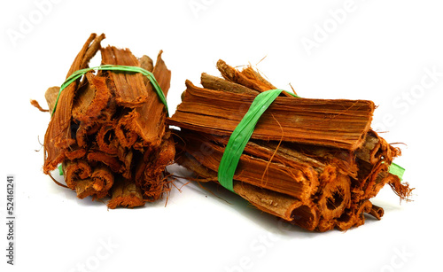 bark of medicinal plant cat s claw, uncaria tomentosa