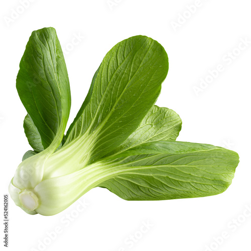 фотографія Young organic white bok choy or bak choi Chinese cabbage isolated on alpha backg