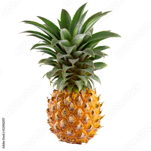 Ripe pineapple fruit  isolated on alpha background