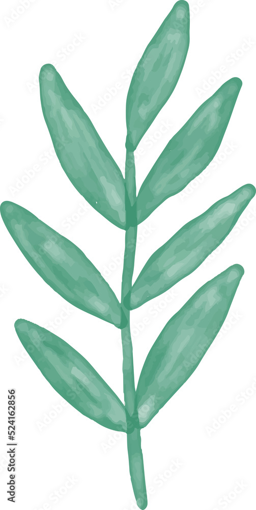 Watercolor Leaf Leaves Flower and Floral Botanical Natural illustration