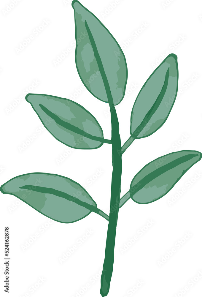 Fototapeta premium Watercolor Leaf Leaves Flower and Floral Botanical Natural illustration