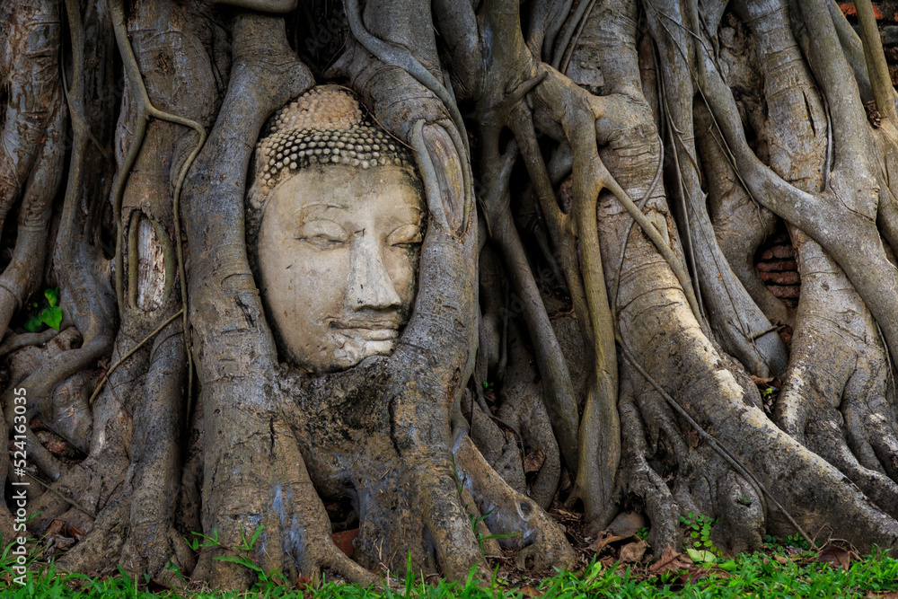 Hundred-year-old Buddha head in tree roots, Wat Mahathat, Ayutthaya, Thailand