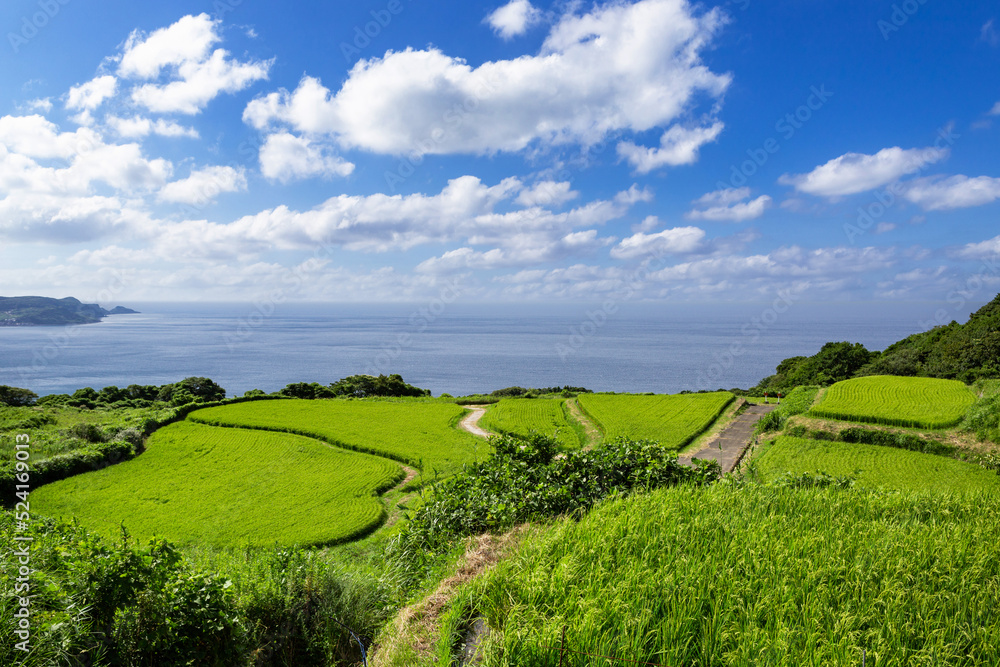 Obraz premium 日本の棚田百選東後畑の棚田 山口県長門市 