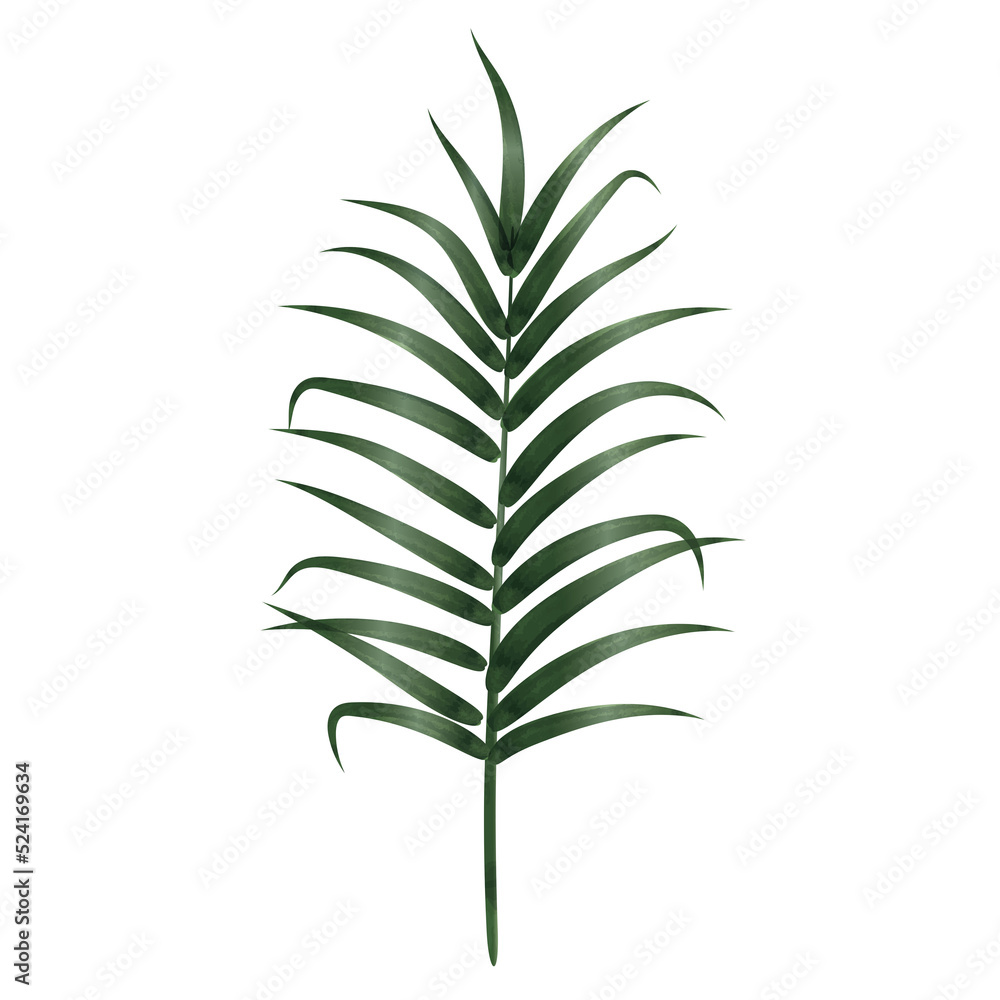 Palm Leaf Watercolor Palm Leaf Watercolor