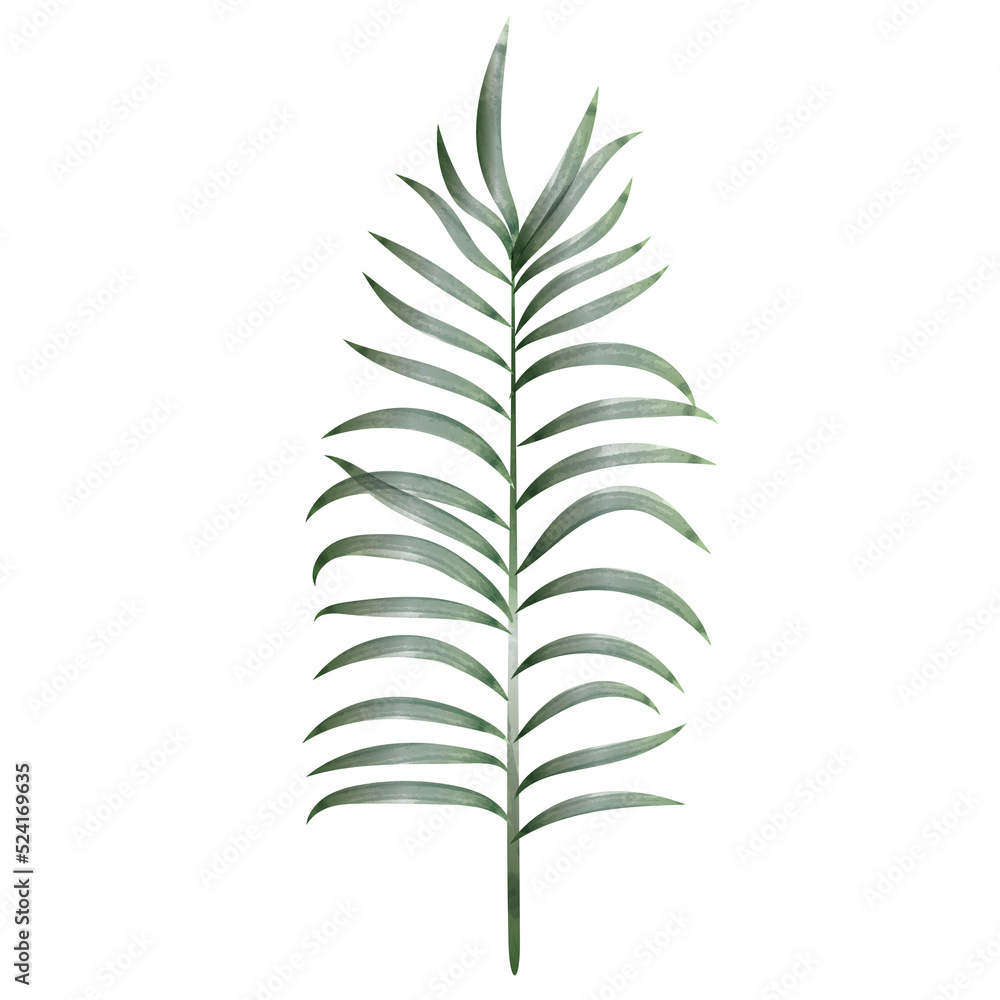 Palm Leaf Watercolor Palm Leaf Watercolor