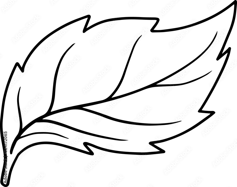 Obraz premium Element Leaves Line Art 