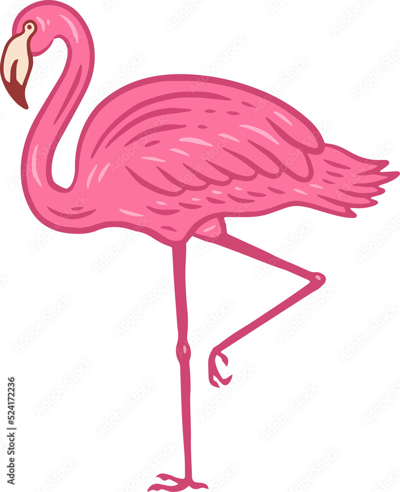 Obraz premium Flamingo pink Bird flamingos Aesthetic Tropical Exotic Hand drawn flat style collection