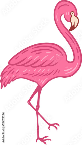 Flamingo pink Bird flamingos Aesthetic Tropical Exotic Hand drawn flat style collection