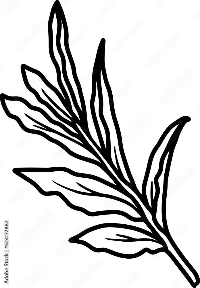 Line Art Leaves Illustration
Line Art Leaves Illustration
