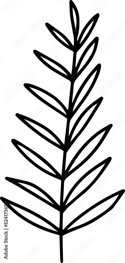 Fototapeta premium Leaf Line Art Illustration 
