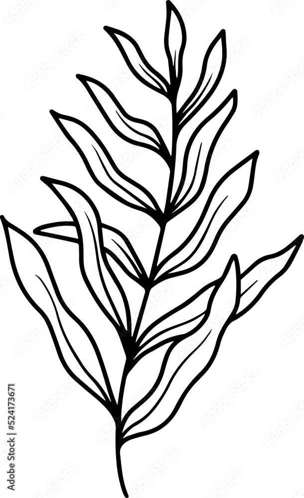 Leaves Line Art Illustration
