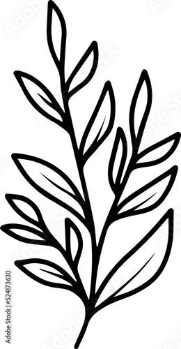 Leaves Element Line Art Illustration 