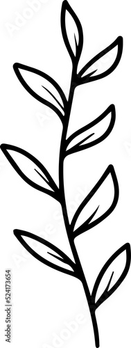 Leaf Line Art Illustration 