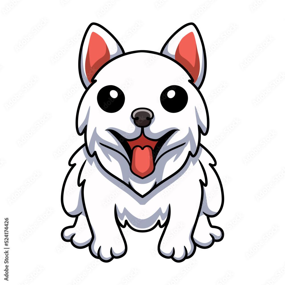 Obraz premium Cute little samoyed dog cartoon