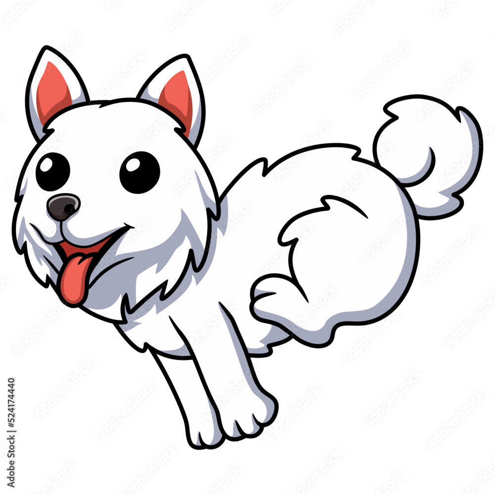 Fototapeta premium Cute samoyed dog cartoon running