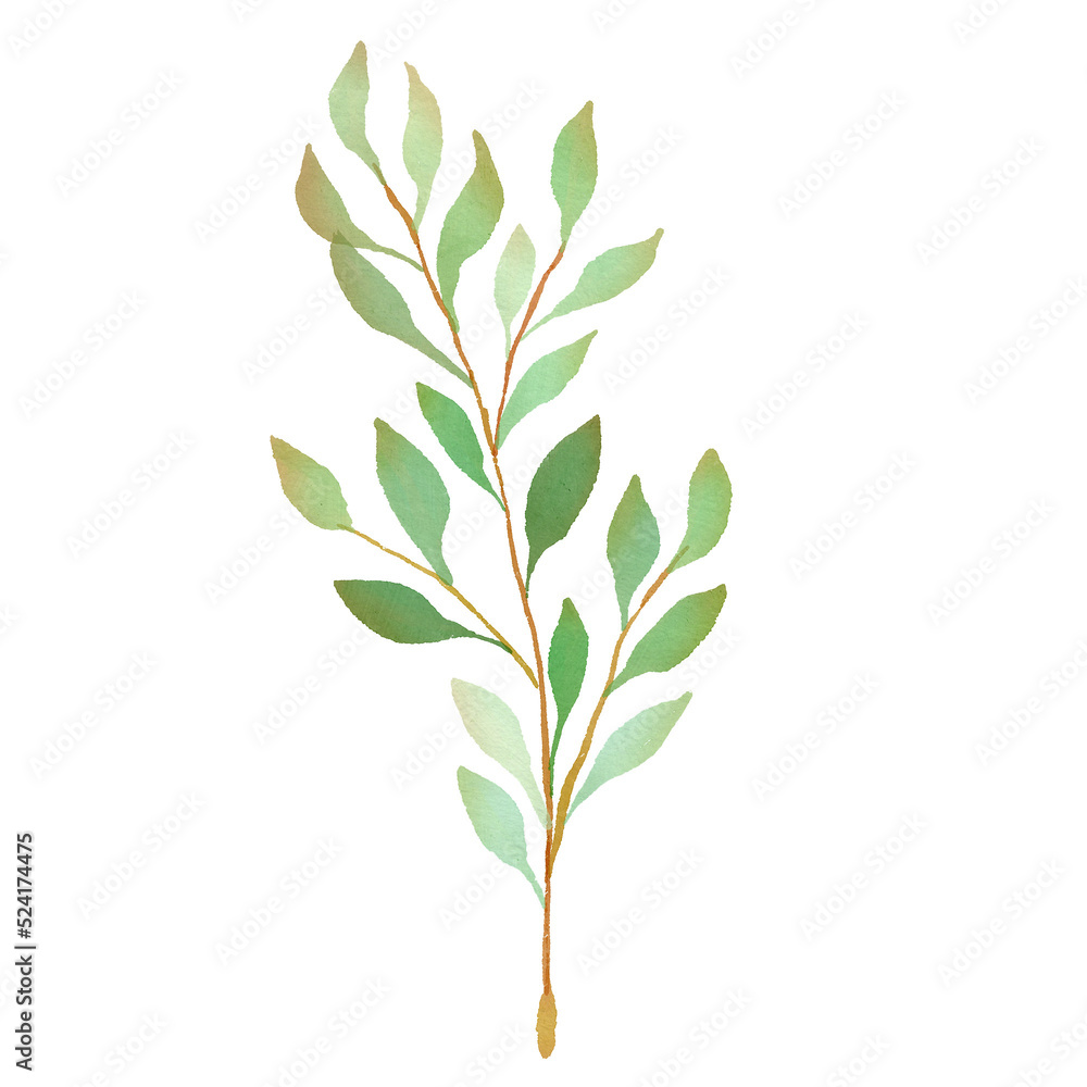 Fototapeta premium handdrawn watercolor leaf floral illustration