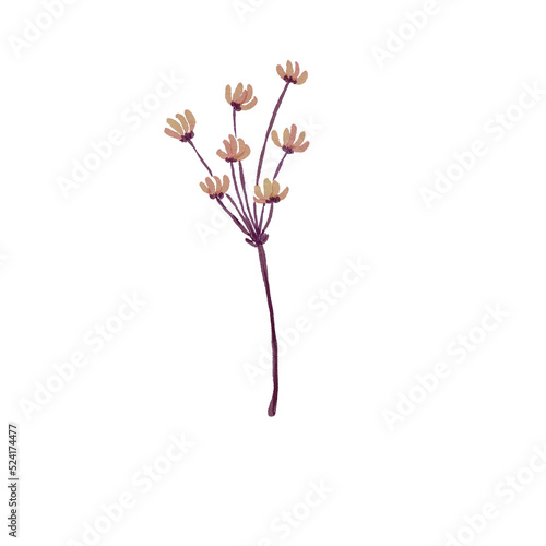 handdrawn watercolor leaf floral illustration