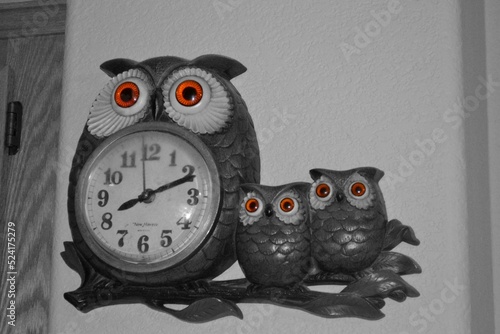 Orange Eyed Owls photo