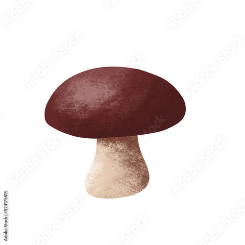 mushroom illustration in autumn for design element