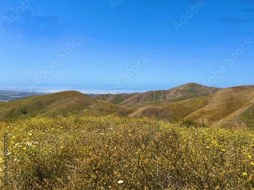 green and yellow hillsides in ventura with the pacific ocean fog in the backgrou Fototapet