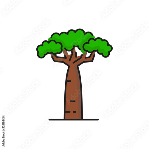 Green tropical tree icon, forest or jungle park and beach, vector isolated symbol. Baobab in outline or thin line silhouette, African nature garden and forest plant baobab
