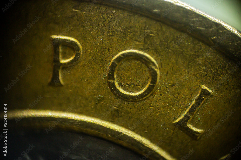The texture of the Polish zloty coin in macro