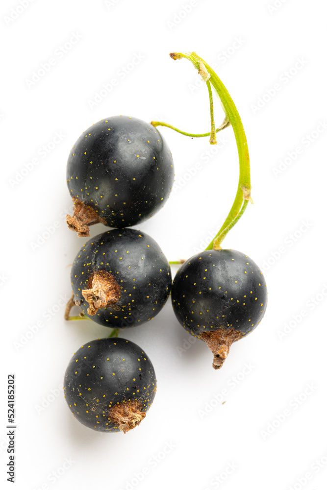 Black currants with leaves isolated on white background with clipping path Black currants with leaves isolated on white background with clipping path