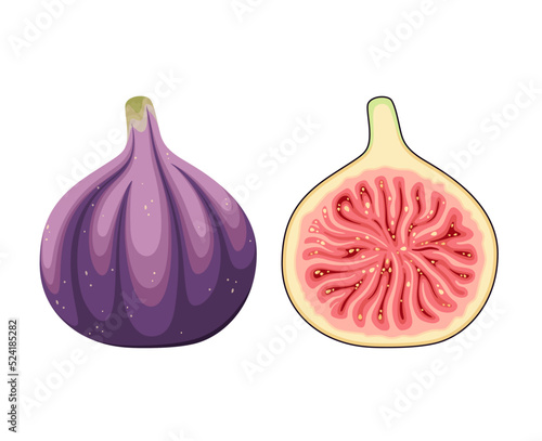 Ripe figs on a white background. Cartoon design.
