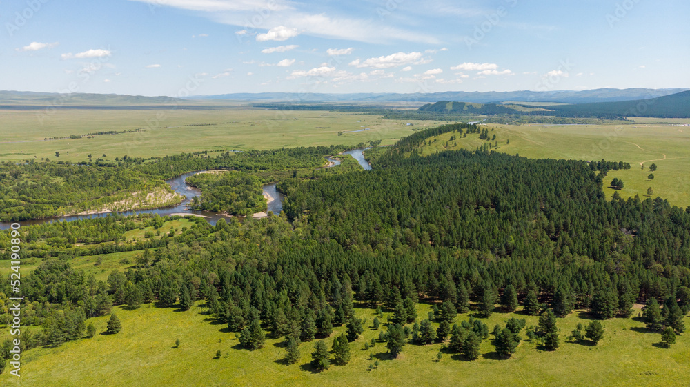 Top aerial panoramic view of green fields and meadows in summer. Mongolian landscape with sunny sky. Landscape with drone