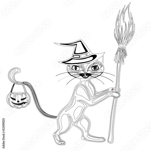 Vector illustration of a coloring on a halloween, funny cat in a witch hat sits on a pumpkin, coloring book page for kids and adults halloween 