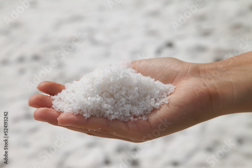 Salt in the palms