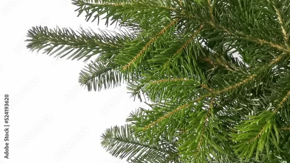 Close-up of fir Christmas tree branches isolated on white background. Showing in motion bunch of green fresh fir for winter holidays decor. Preparing for Christmas and New Year decoration concept. Close-up of fir Christmas tree branches isolated on white background. Showing in motion bunch of green fresh fir for winter holidays decor. Preparing for Christmas and New Year decoration concept.