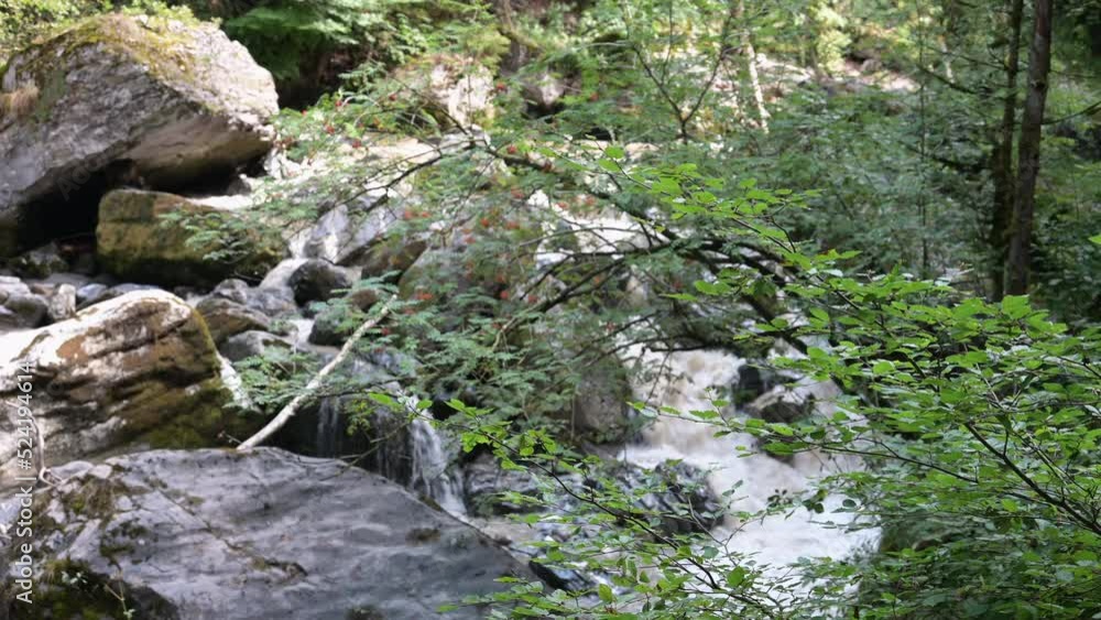 Small waterfall in a swiss alps forest with a lot of vegetation, plants in Obwalden, Engelberg Small waterfall in a swiss alps forest with a lot of vegetation, plants in Obwalden, Engelberg