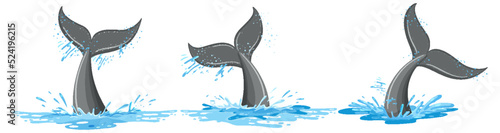 Tails of a whale in the water set