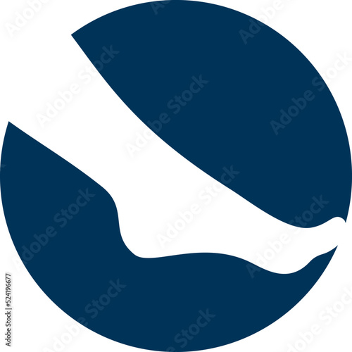 vector design foot illustration