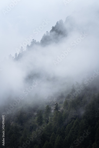 Clouds drifting over the forest after rain showers in the Swiss mountains.