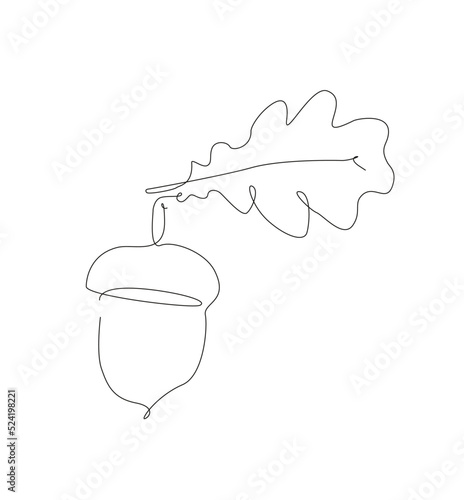 One line acorn with a lief, outline oak lief and seed. acorns line art.