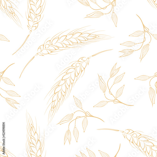 Botanical background. Vector seamless pattern with yellow ears of oats and wheat outline on white.