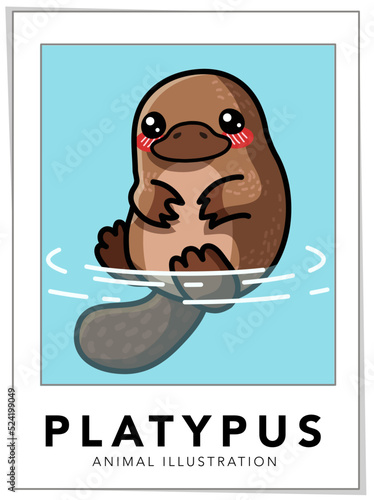 Platypus Vector Illustration