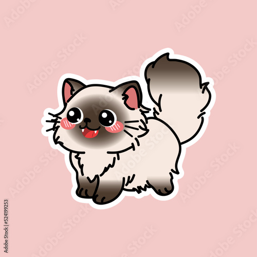 Cute Cat Illustration