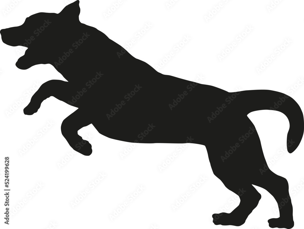 Black dog silhouette. Jumping labrador retriever puppy. Pet animals. Isolated on a white background.