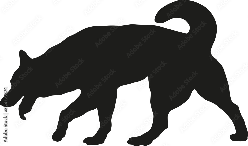 Walking and sniffing siberian husky puppy. Black dog silhouette. Pet animals. Isolated on a white background. Vector illustration.